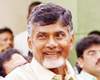 tdp leader anil kumar reddy elected as dccb bank president