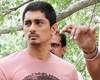siddharth and karthik subbaraj jigarthanda movie