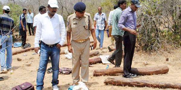 seshachalam forest encounter