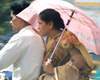 summer affect in andhra and telangana
