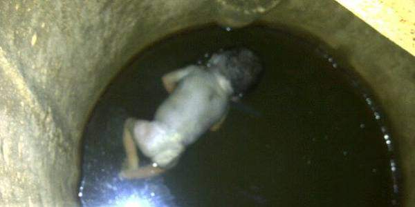 Baby-in-Well-Narsimhapuram