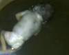 Shock: Woman pushes 5 months baby into well
