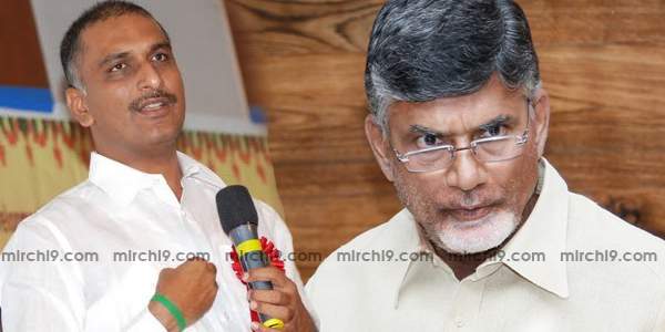 Chandrababu-naidu-harish-rao