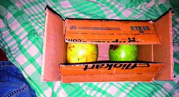 Flipkart-mangoes-photo