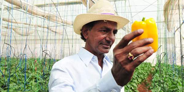 KCR-at-Form-HouseKCR-at-Form-House