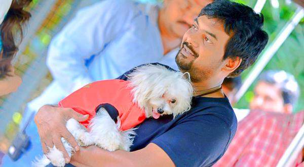 Puri jagan with his dogs