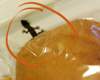Lizard in Air India's in-flight meal!