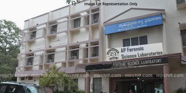 Bifurcation blues TS targets police dept. institutions!