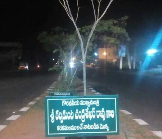 KCR's Haritha Haram marred by neglect!