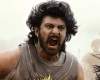100 Cr First Week Share for Baahubali