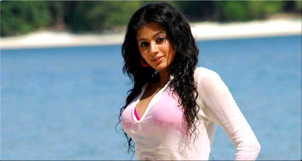 Priyamani-hot-cop