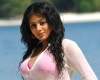 Can Priyamani match Vijayashanti’s aura?