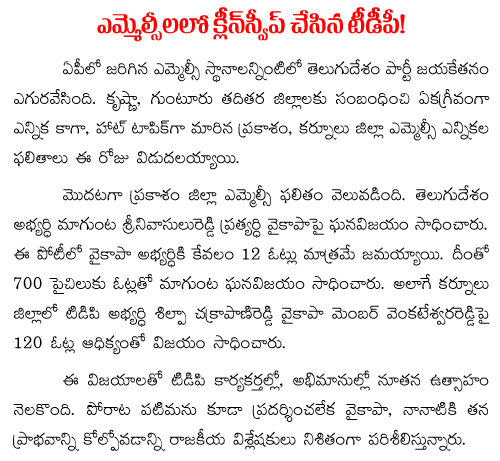 TDP clean sweep in MLC elections