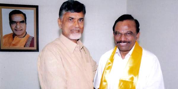 TDP clean sweep in MLC elections