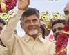 tdp won the election in ts