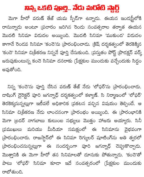 varun loafer movie