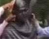 NRIs in Canada hit Gandhi statue with shoes!