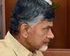 TDP wants to contest Warangal by-election