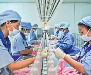 chinese-condoms