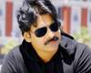 pawan kalyan kajal agarwal movie