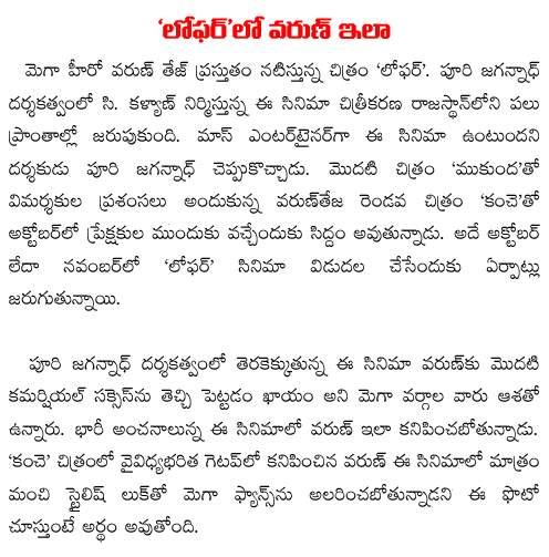 varun loafer movie