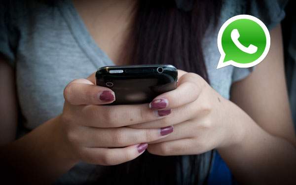 government back on Whatsapp