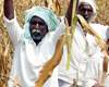 telangana agriculture status