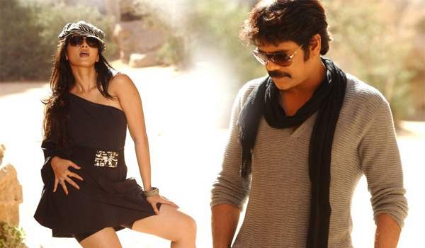anushka nagarjuna coming back in movie