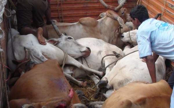 Bakrid and Vinayaka Chaviti keeps City Police on toes!