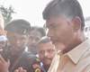 Chandrababu now available daily for commoners!