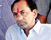 kcr and harishrao sketch on narayankhed by election