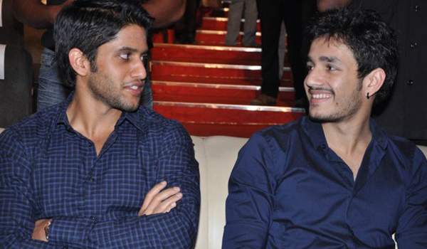 naga chaithanya in akhil movie
