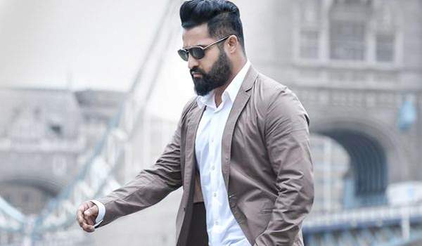 sukumar ntr movie updates