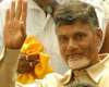 tdp andaman elections
