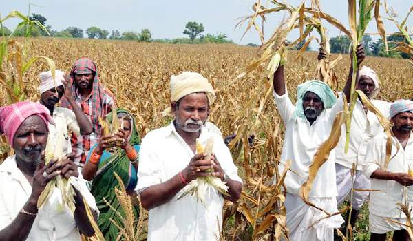 telangana agriculture status