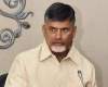 AP CM to head to South Korea!