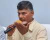 Naidu not to spare corruption even in minor form!