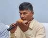 Who will be the new Dy CM of AP?