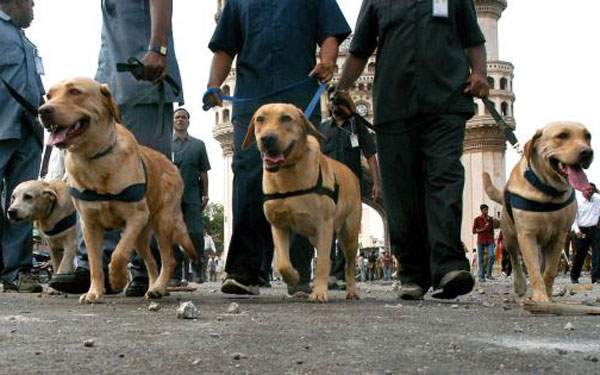 Telangana sniffer Dog Squads to Amaravati