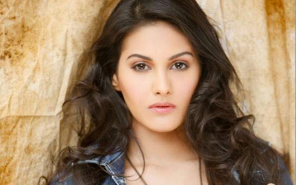 Dhanush's Anekudu girl to romance NTR
