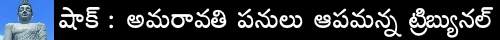 national Green Tribunal stays constructions in Amaravati