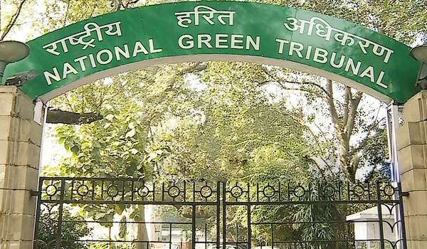 national green tribunal involvement in amaravathi development