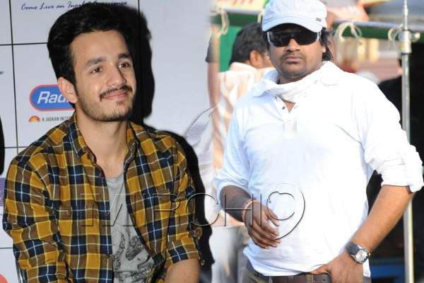 Harish-shankar-Akhil-movie