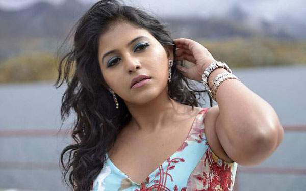 anjali item song in allu arjun sarainodu