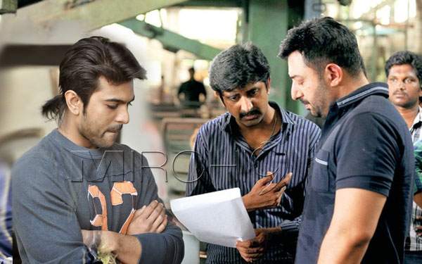 arvind swamy ram-charan-next-movie-tamil-remake-thani-oruvan