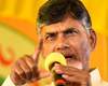 chandrababu naidu