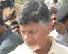 Chandrababu naidu nellore floods