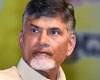 CBN paid heavy price ignoring ground level politics