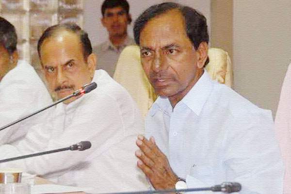 kcr trs party warangal elections result