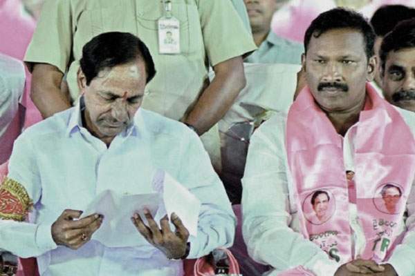 kcr warangal by poll results